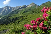 Anello Laghi di Porcile,Passo di Tartano, Cima-Passo di Lemma da Baita del Camoscio (28 giu.2020)- FOTOGALLERY